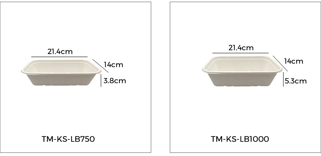 Sugarcane Bagasse Bowls Manufacturer