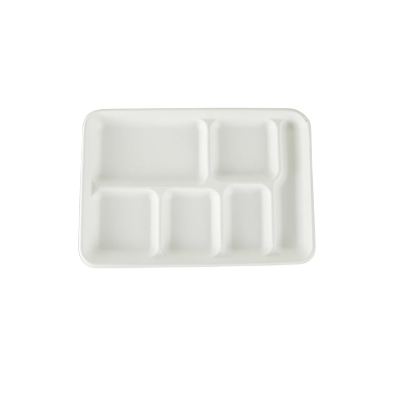 Sugarcane 6 Compartments Tray