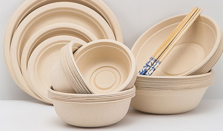 Vaisselle innovante et respectueuse de l'environnement : la bagasse de canne à sucre gagne en popularité