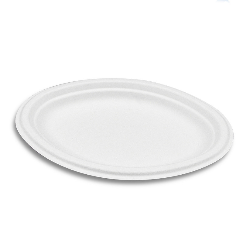 Sugarcane Oval Plate