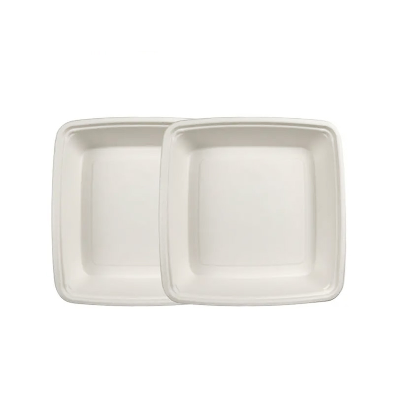 Compostable Sugarcane Takeout Lunch Box