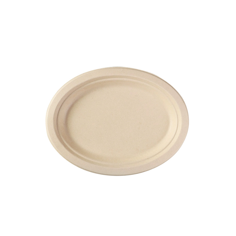 Sugarcane Oval Plate