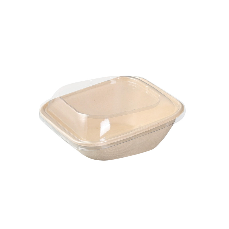 Sugarcane Fast Food Salad Bowl