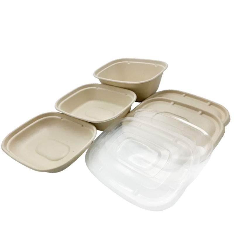 Compostable Sugarcane Food Container