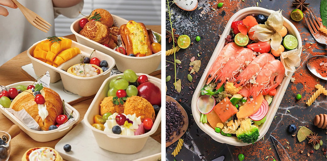 Sugarcane Lunch Box