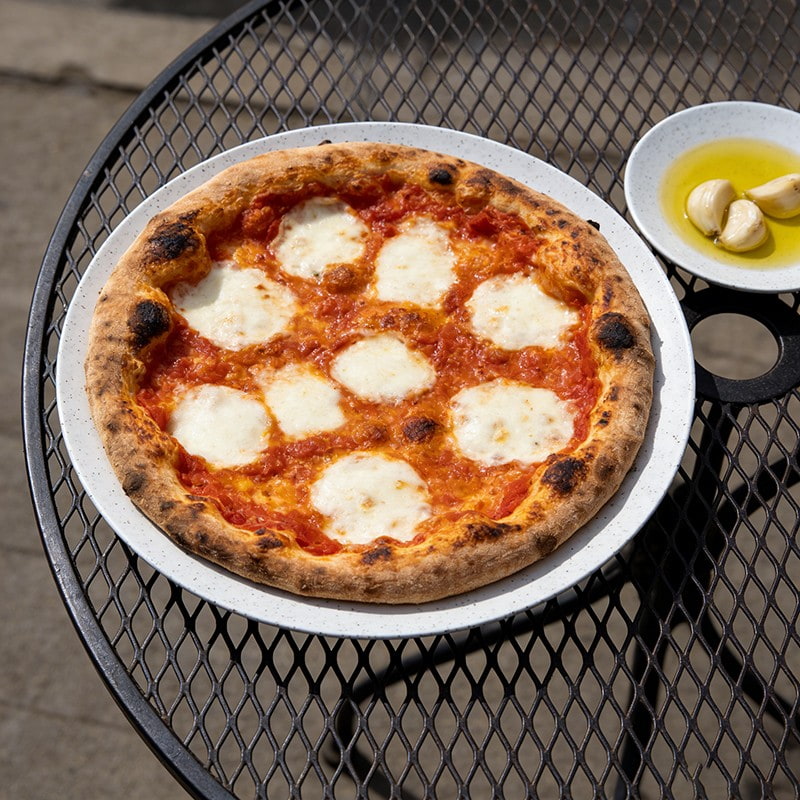 plastic party plates bulk